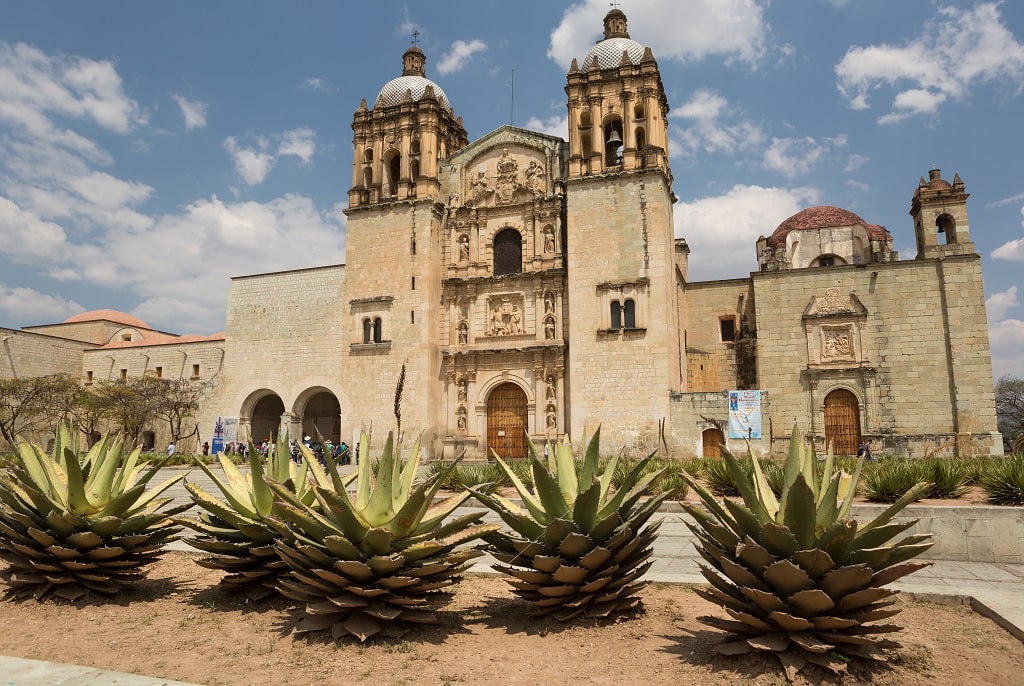 The facade of Santo Domingo Church in Oaxaca City with plants on the foreground